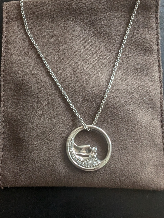 Brilliant Earth Jewelry - Brilliant Earth Mountain Range Pendant Never Worn Sterling Silver